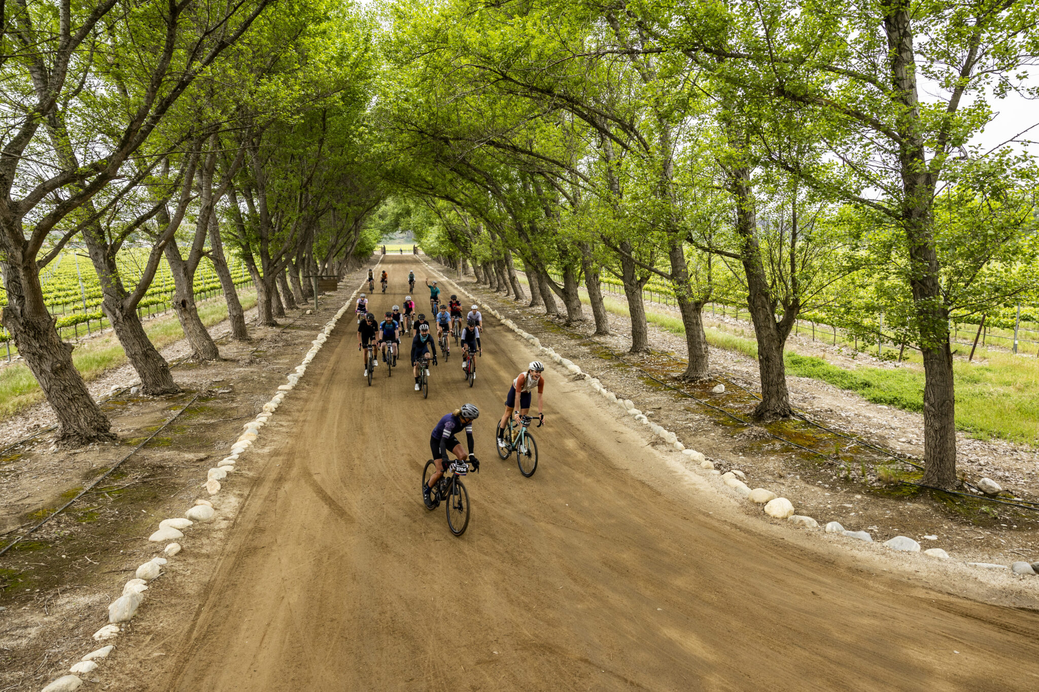 New for 2025 Life Time Sea Otter Classic